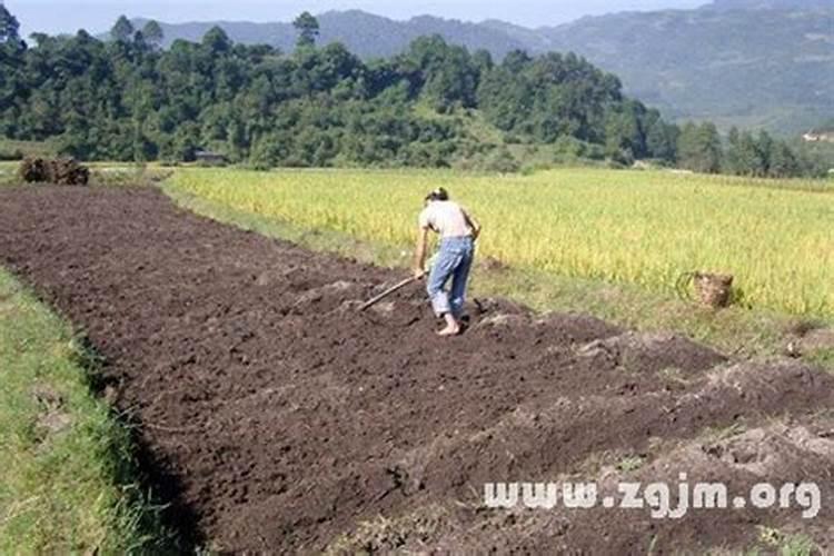 梦见铲平土地是什么意思？