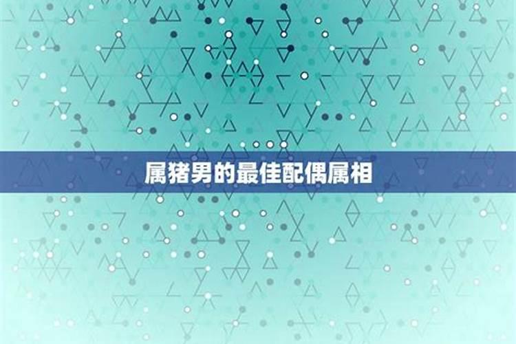 属猪男最佳配偶是属什么