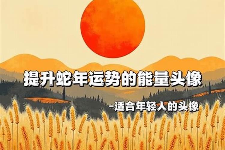 属蛇人2025运势及运程如何