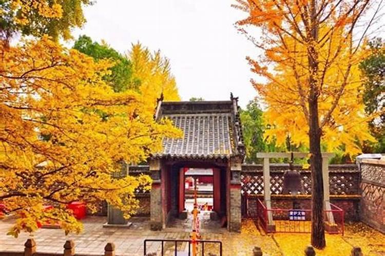 山东各地的生育礼俗(1):祈孕求子