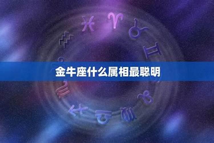 属什么的白羊座命最差,白羊座的人命好吗