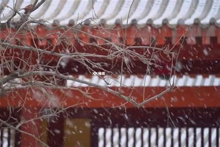 女人梦见下雪什么意思 女人梦见下雪代表什么