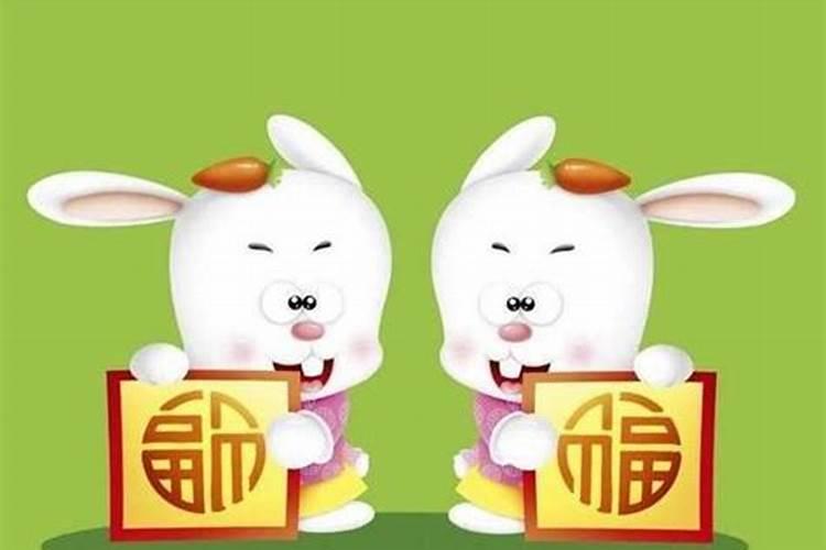 属兔什么属相最配