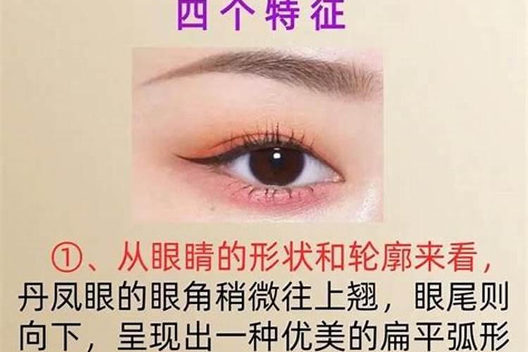 内双丹凤眼面相的人命好不好