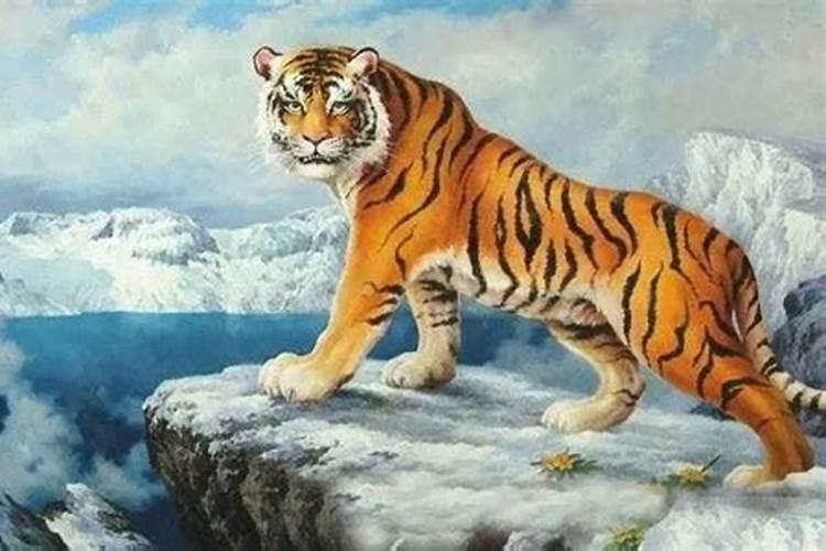 属虎有山有水有树林的名字520个