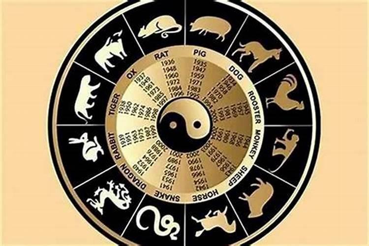 属相不合就不能成为夫妻吗？