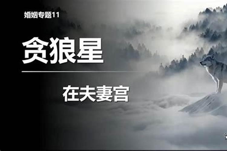 夫妻宫贪狼的女人婚姻真的不顺吗