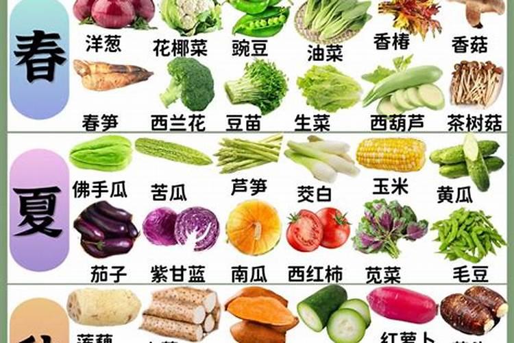 八月十五后种什么菜合适