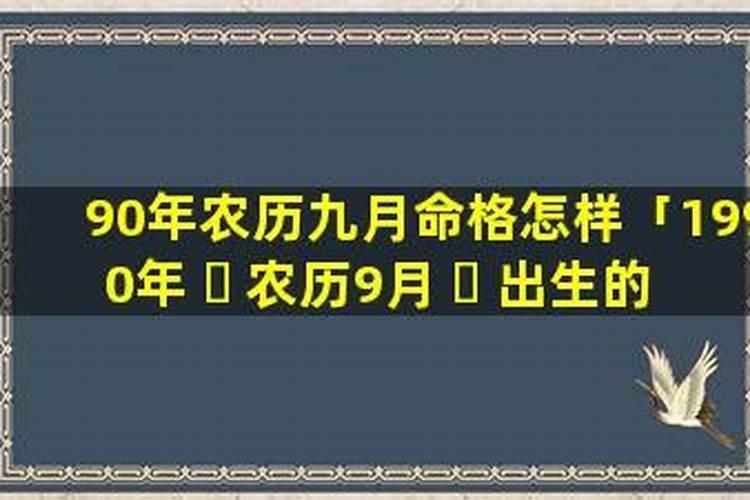 属马的人在几月份出生最好