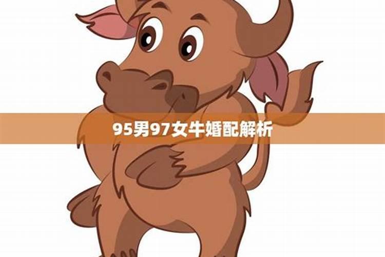 95年女猪,97年男牛合适吗