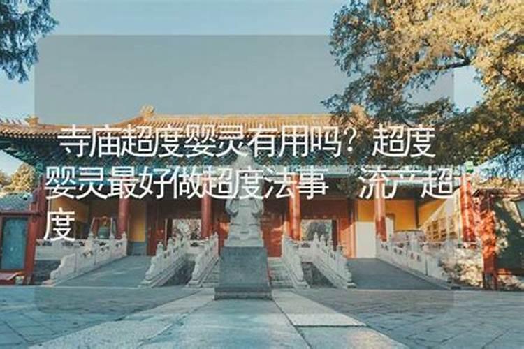 农历1996年9月初9出生的人命运怎么样？