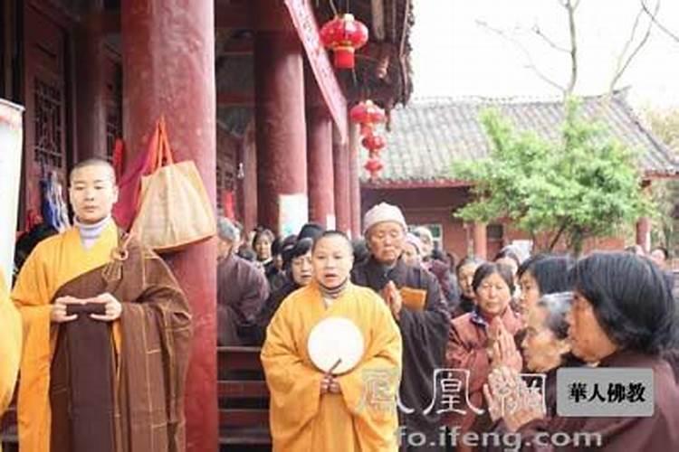 女孩属羊腊月出生好不好 羊女的命运怎么样？