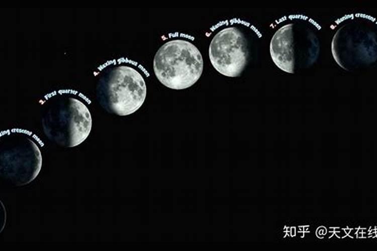十五月亮几点出来