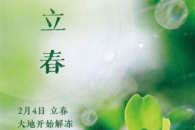 82年的狗今年财运如何