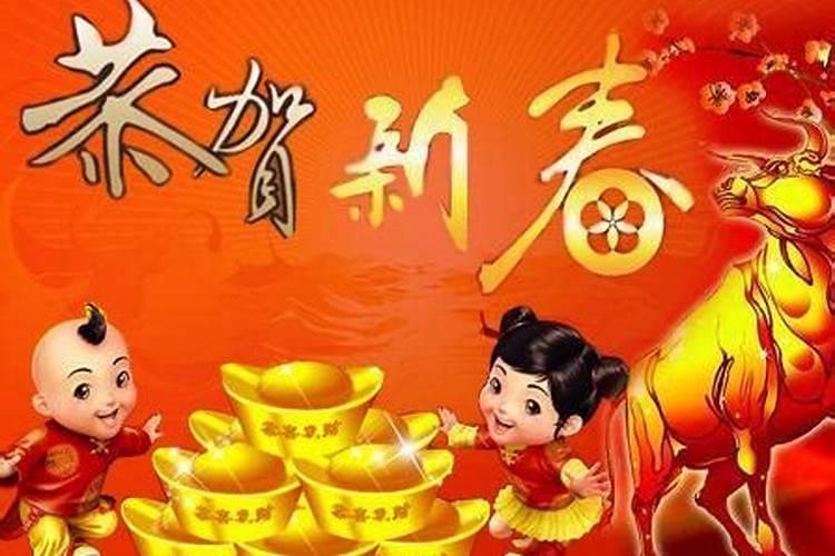 生肖猪2024年运势及运程详解