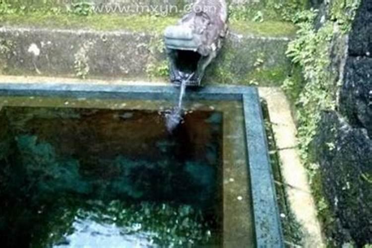 梦见墓地出泉水