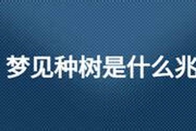 梦见种树是什么兆头 为什么梦见种树