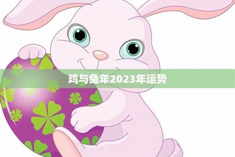 属兔人最难熬的两年