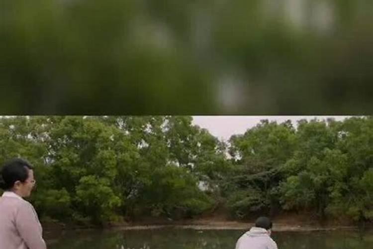 梦见自己大哥的预兆