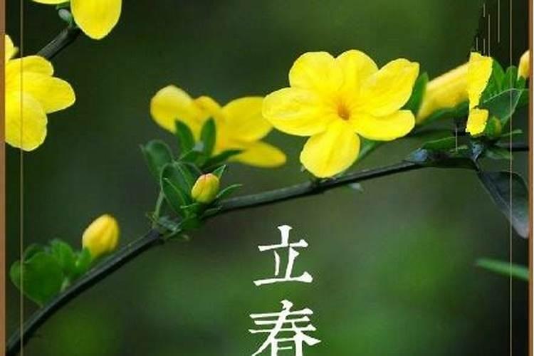大寒过后是立春蕴含怎样的人生哲理