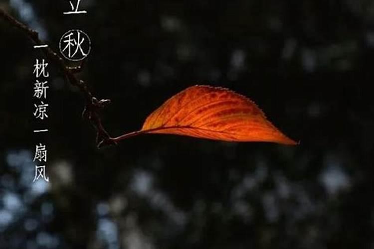 秋天的节气有哪6个