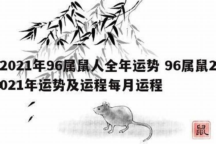 2025老鼠的全年运势如何