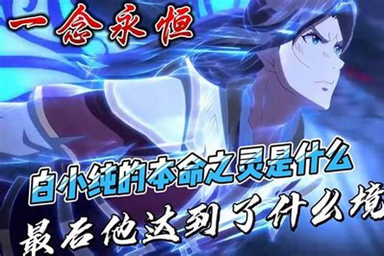 白小纯的本命之灵是什么