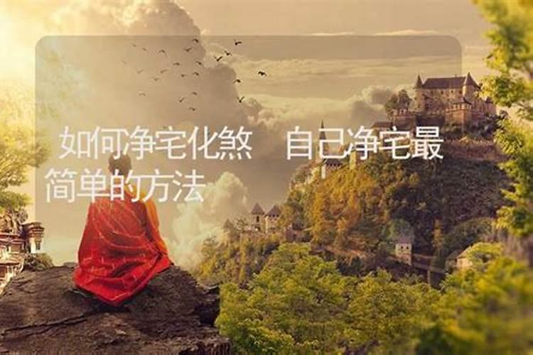 易经属鼠出生日命运,属鼠人出生在农历十一月份一生运气命运怎样