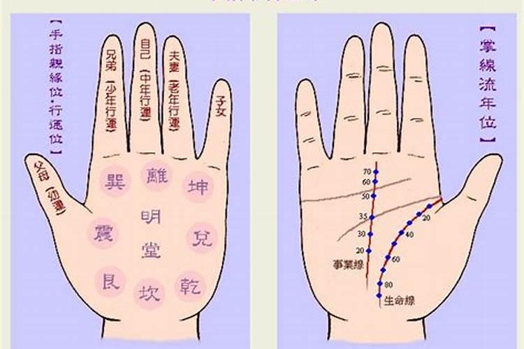 算命看手相(手纹)准？