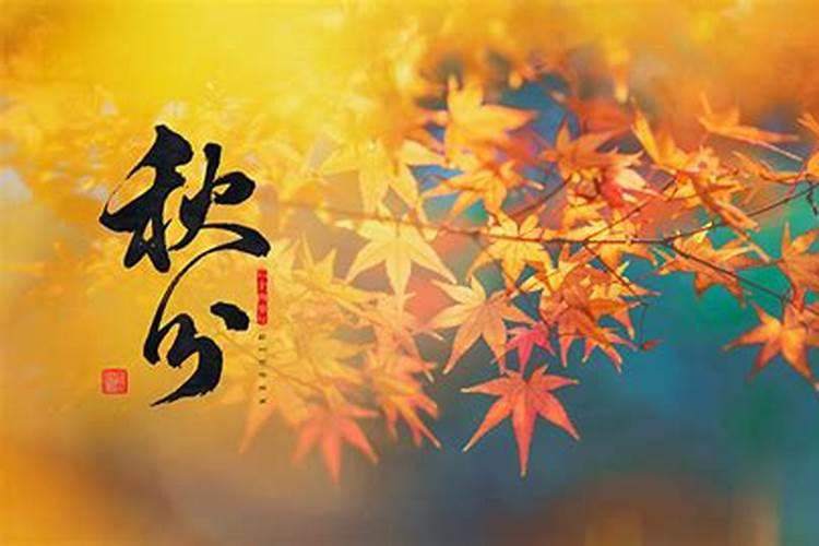 2023年秋分是几月几号几点几分 秋分节气的谚语