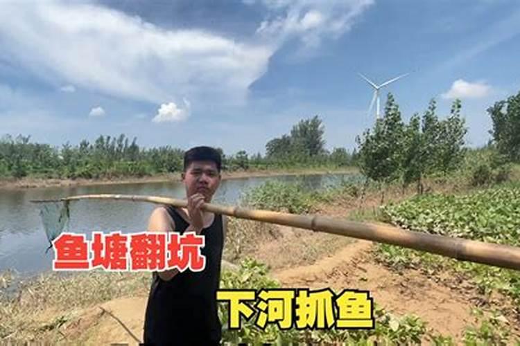 梦见别人在鱼塘里抓鱼