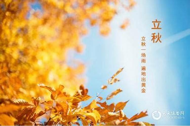 立秋和处暑是什么意思 立秋和处暑的意思