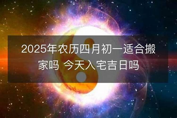 生肖兔2025年运势及运程如何