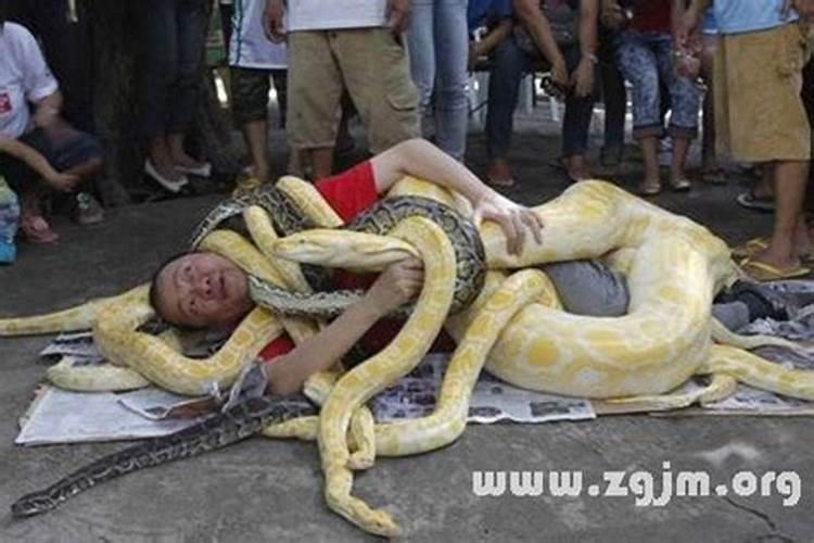 女人梦见蛇爬在身上但没咬我