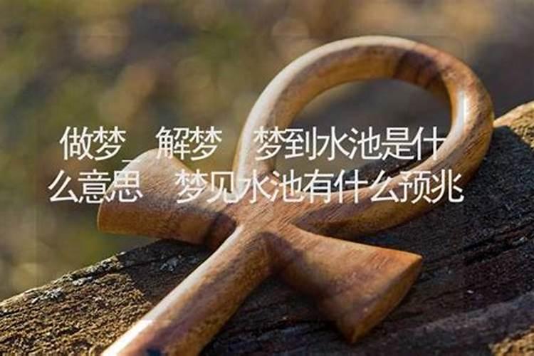 梦见水池是什么意思