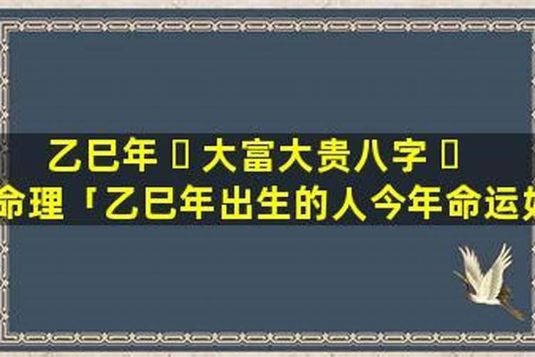 2025年乙巳年生肖及运势