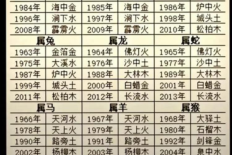2007年猪是什么命 五行属什么