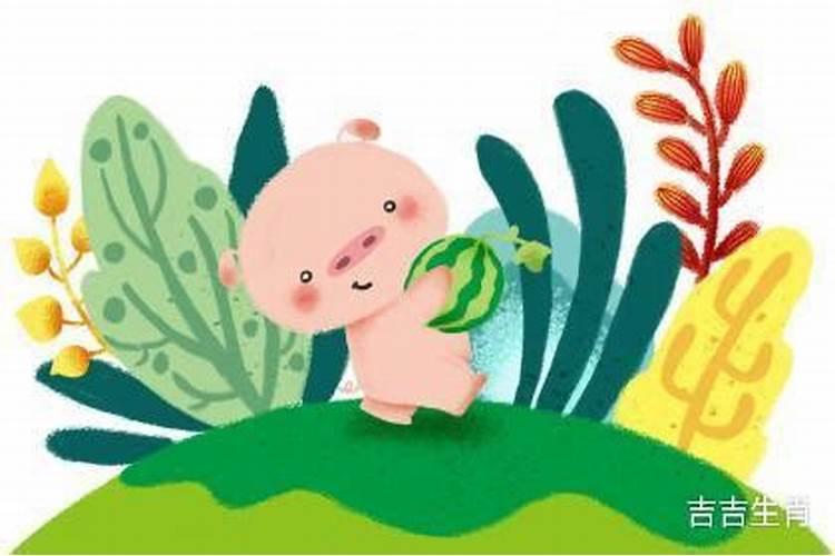 2007年出生的人命运 2007年火猪命好不好