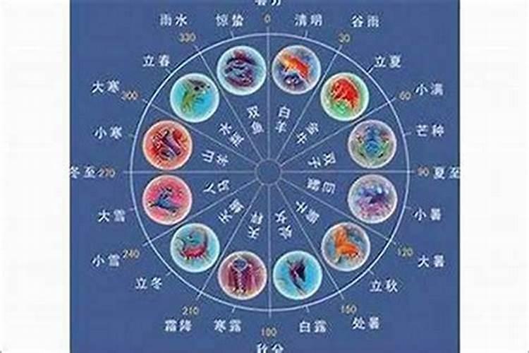 属相的人养什么鱼招财 适合养鱼的属相有哪些