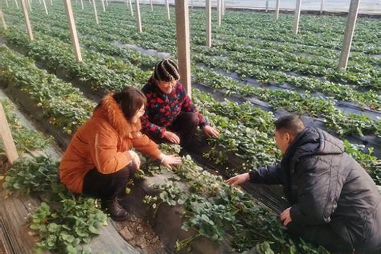 收集曾在临沂居住过的名人事迹,拟一副对联