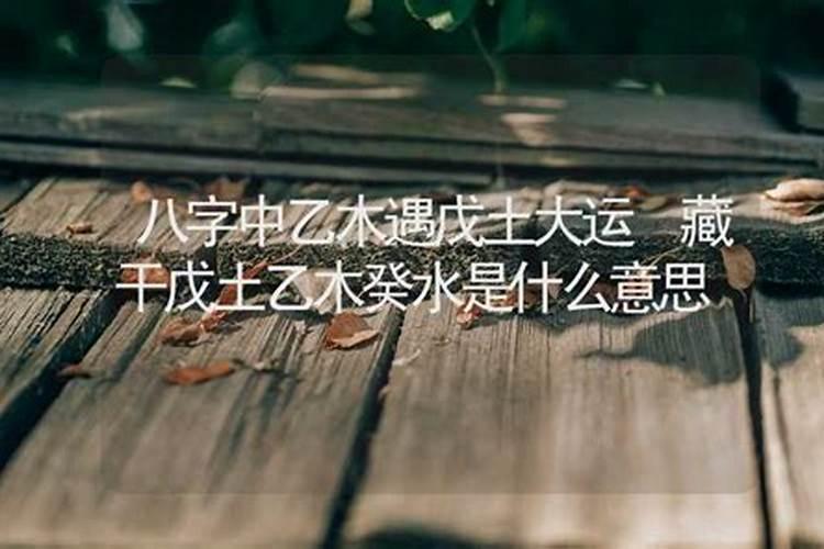 乙木男配什么最好 美满姻缘浓情蜜意