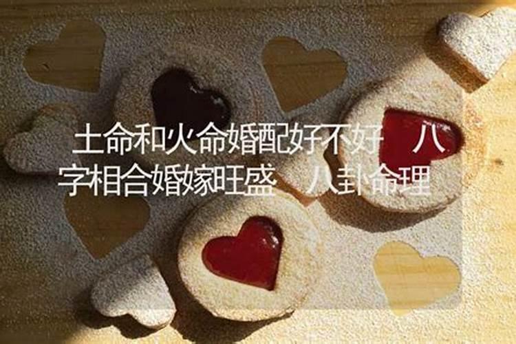 属蛇人2025年全年运势