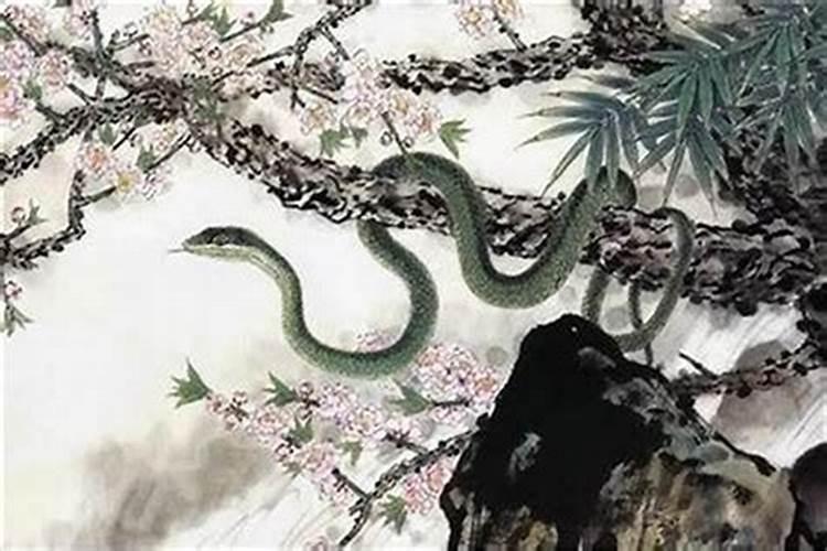 本命年的人运气好吗 本命年的人运气好不好