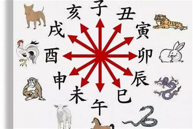 蛇年属蛇人2025年运势如何
