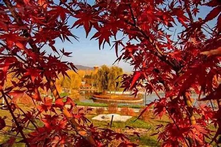 2022太原中秋节适合去哪里旅游