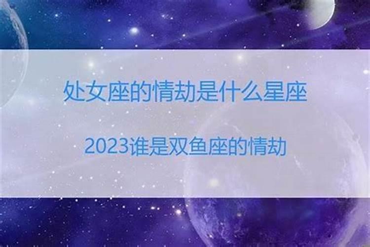 哪个星座是处女座的情劫!