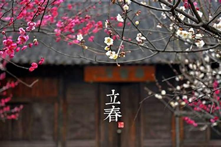2024年立春是阴历哪天立春节气的风俗