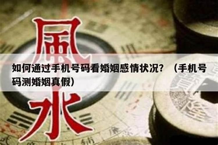 给手机号算命准确吗