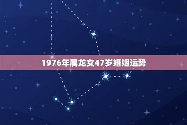 猪和牛在一起谁克谁