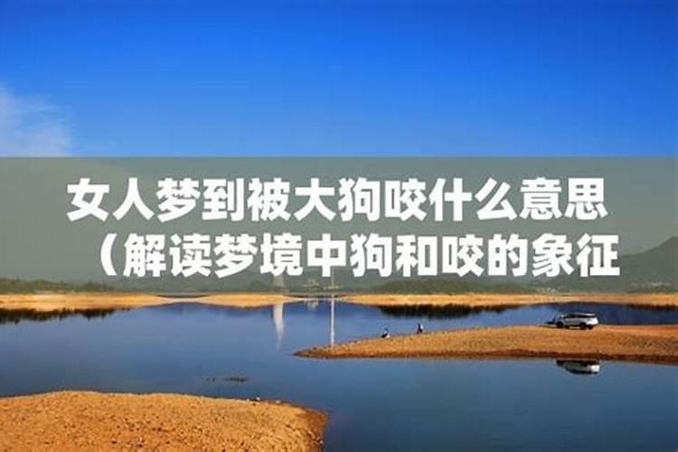 女人梦见狗咬腿